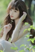 <b>搭客能够出海不雅鲸、看企</b>