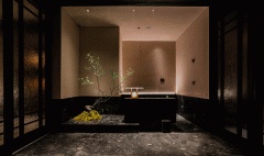 它是一个出色、特殊的、无处不发卖、人人都利