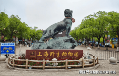 澜湾洋房的“明星